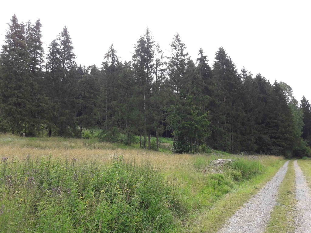 Waldstück, Wilzhofen, Immobilien Jungermann und Hausner OHG Weilheim iOB